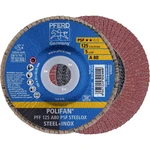 PFERD 67648125 Klapkový kotúč PFERD Priemer 125 mm   10 ks