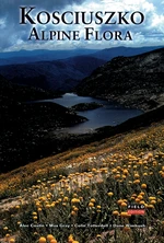 Kosciuszko Alpine Flora