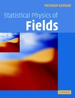 Statistical Physics of Fields