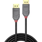 DisplayPort kabel LINDY [1x zástrčka DisplayPort - 1x zástrčka DisplayPort] černá 2.00 m