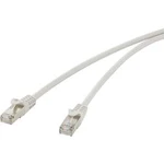 Síťový kabel RJ45 Renkforce RF-4541484, CAT 5e, F/UTP, 25.00 cm, šedá