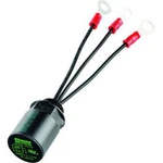 Odrušovací filtr Murr Elektronik 236161, (d x š x v) 40 x 25 x 25 mm, 10 ks