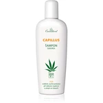 Cannaderm Capillus Seborea Shampoo bylinný šampón pre podráždenú pokožku hlavy 150 ml