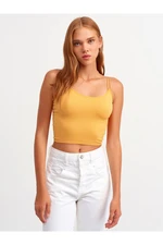 Dilvin Women's Orange Elastic Crop Top-orange