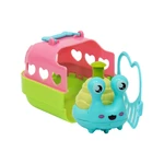 Cute snail in the cage