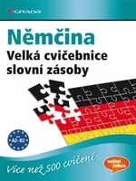 Němčina Velká cvičebnice slovní zásoby - Marion Techmer, Dr. Lilli Marlen Brill