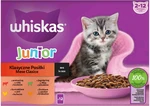 WHISKAS Kapsička Junior mixovaný výber v šťave 12pack