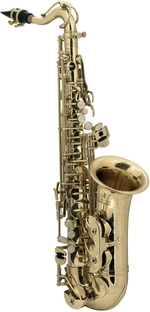 Roy Benson AS-201 Saxophones Alto