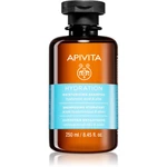 Apivita Hydration Moisturizing Shampoo hydratačný šampón pre všetky typy vlasov 250 ml