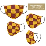 HYGIENIC MASK REUSABLE APPROVED HARRY POTTER