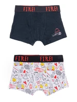 Yoclub Kids's Cotton Boys' Boxer Briefs Underwear 2-pack BMB-0009C-AA30-001