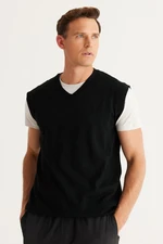 ALTINYILDIZ CLASSICS Men's Black Standard Fit Normal Cut V-Neck Knitwear Sweater.