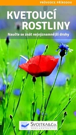 Kvetoucí rostliny - Lang Kessler