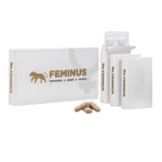 FEMINUS Přírodní multivitamin pro ženy 60 tablet