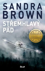 Střemhlavý pád (Defekt) - Sandra Brown