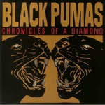 Black Pumas - Chronicles Of A Diamond (US Version) (Clear Coloured) (LP) Disco de vinilo