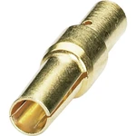 Krimpovacie kontakty. obrátil sa RC-5CS2000  Phoenix Contact Množstvo: 50 ks