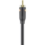 Belkin cinch digitálny digitálny audio prepojovací kábel [1x cinch zástrčka - 1x cinch zástrčka] 2.00 m čierna
