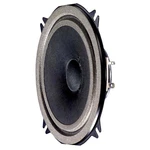 Visaton FR 12 5 palca 13 cm širokopásmový reproduktor 15 W 4 Ω