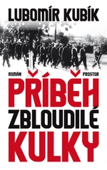 Příběh zbloudilé kulky - Lubomír Kubík - e-kniha