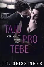 Taju pro tebe - J. T. Geissinger - e-kniha