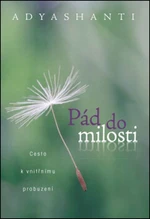 Pád do milosti - Adyashanti