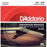 D'addario Ej74 Struny Do Mandoliny