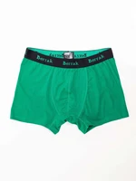 Green men's boxer shorts