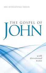 NIV, Gospel of John