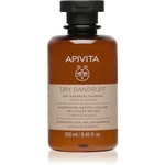 Apivita Holistic Hair Care Celery & Propolis šampon proti lupům 250 ml