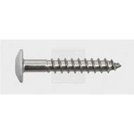 Vrut na dřevěné fasády 5.5 mm 55 mm nerezová ocel 100 ks SWG 211555620