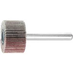 Vějířová bruska NA KŮŇ PFERD 44406186 Průměr 25 mm