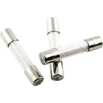 Jemná pojistka ESKA 556000 556.017, 500 V, 1 A, skleněná trubice s hasicí látkou, 8 mm x 40 mm