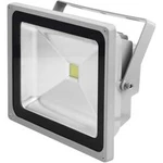 Venkovní LED reflektor Eurolite 51914566, 30 W, N/A, stříbrná, transparentní