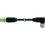 Upravený zástrčkový konektor pro senzory - aktory Murr Elektronik 7000-48011-7220100 1.00 m, 1 ks