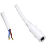 Nízkonapěťový připojovací kabel TRU COMPONENTS TC-2511327, vnitřní Ø 5.50 mm, 1.00 m, 1 ks