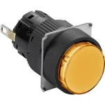 Světelný hlásič Schneider Electric XB6EAV8BP, 5 ks