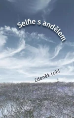 Selfie s andělem - Zdeněk Lebl