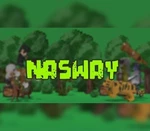 NASWAY Steam CD Key