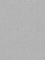 Kusový koberec Nasty 101595 Silber-200x300