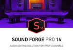 MAGIX Sound Forge Pro 16 Digital Download CD Key