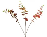 Umělá květina Eukalyptus, 51 cm