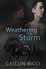 Weathering the Storm