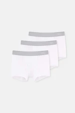 Dagi White D4210 Micromodal Boxer 3-Piece