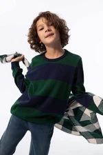 DEFACTO Boy Regular Fit Crew Neck Pullover