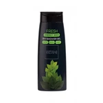 Gabriella Salvete Energy 4Men Fresh 3in1 250 ml sprchovací gél pre mužov