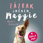 Anna Julie Slováčková – Carlin: Zázrak jménem Maggie CD-MP3