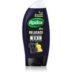 Radox Men Feel Wild sprchový gél na tvár, telo a vlasy pre mužov Blackberry & Ginger 225 ml