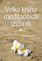 Velká kniha meditačních technik, Siegel D. Ronald