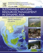 Redefining Diversity and Dynamics of Natural Resources Management in Asia, Volume 1